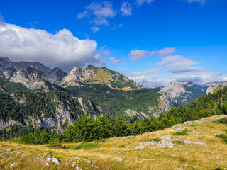 Sutjeska-Nationalpark in Bosnien-Herzegowina der letzte Urwald Europas