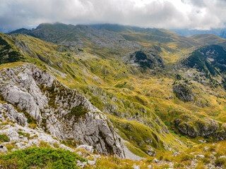 Sutjeska-Nationalpark in Bosnien-Herzegowina der letzte Urwald Europas