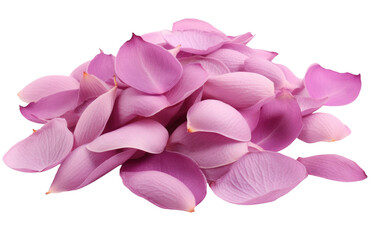 A Genuine Snapshot Displaying the Grace of Purple Lotus Petals on White Canvas Isolated on Transparent Background.