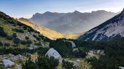 Sutjeska-Nationalpark in Bosnien-Herzegowina der letzte Urwald Europas