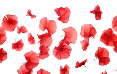 Exploring the Bold Palette and Velvety Texture of Red Poppy Petals in a Realistic Photo Isolated on Transparent Background.