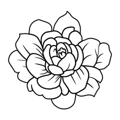 Hand drawn simple flower illustration