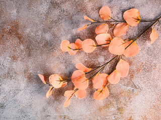 A branch of artificial flowers in the color of the year 2024 Peach Fuzz on a concrete background. Spring composition in peach tones.