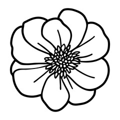 Hand drawn simple flower illustration