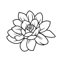Hand drawn simple flower illustration