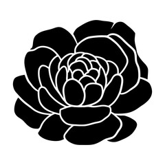 Hand drawn simple flower illustration