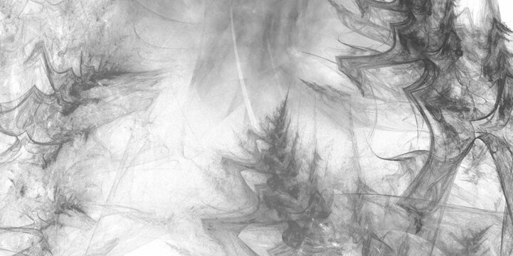 Beautiful abstract smoky grey and white sky background textures. Black background of fluffy texture of down. Monochrome black and white ink effect watercolor Beautiful black feather pattern texture 