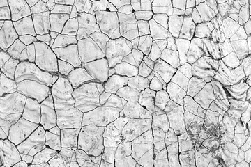 Cracked scaly surface - texture