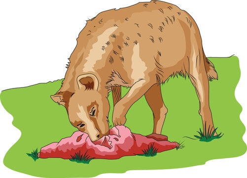 recommend clip art: Hyena eating meat vector illustration