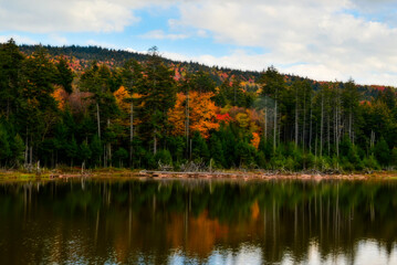 Fall scene Shavers Lake in the Fall with blue sky and puffy white clouds