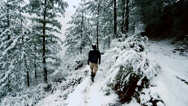 Snow's Transformative Touch on Uttarakhand's Landscapes