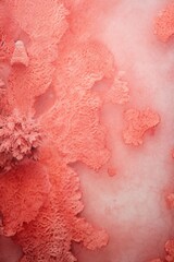 Coral background on cement floor texture
