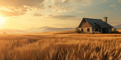 Foto op Plexiglas A wheat field landscape with a house © amavcoffee