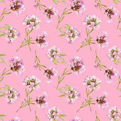 Watercolor seamless pattern with hand-drawn thyme sprigs. Beautiful design for food, tea, aromatic oils. Illustration for printing on fabric, wallpaper, packaging.