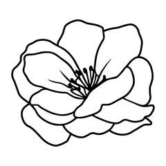 Hand drawn simple flower illustration