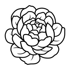 Hand drawn simple flower illustration