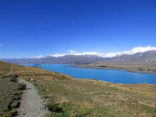 Lake Tekapo viewed from Mt. John Observatory. Clear blue waters in the summer. New Zealand South Island, Aoraki National park. Mountains in the background.