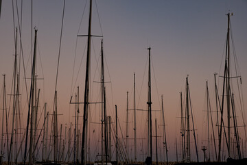 Yacht masts in a marina at sunset. Tranquil sundown and boats