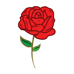 Red rose flower with clipping path, side view. Beautiful single red rose flower on stem with leaves isolated on white background.Deep red, ruby rose flower with green leaves, sketch style vector illus