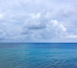 Fototapeta na wymiar Travel background with Caribbean sea and pelican in the sky.