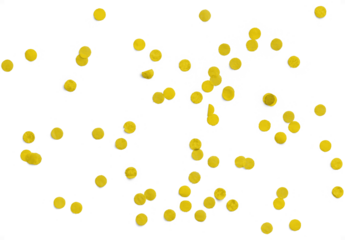 Yellow Confetti 1