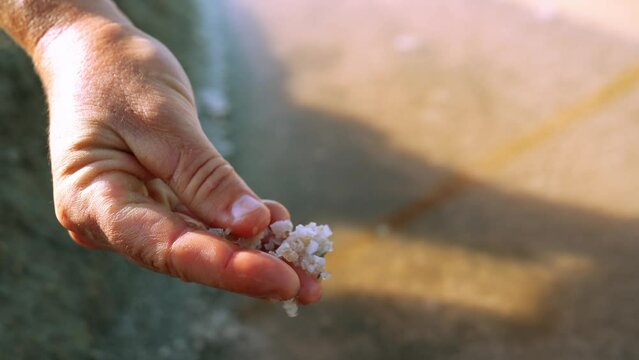 Bretagne Salzg&auml;rten Gu&eacute;rande  Fleur de Sel in der Hand close.