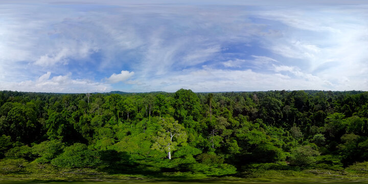 Rainforest and green jungle in Borneo, Malaysia. Virtual Reality 360.