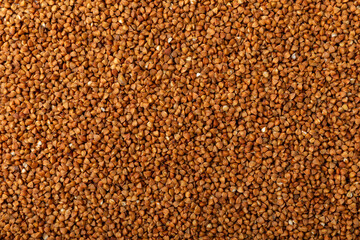 Buckwheat. Buckwheat grain isolated on white background. Healthy food. Porridge. Diet. Organic cereal.
 Cereals background. Banner.