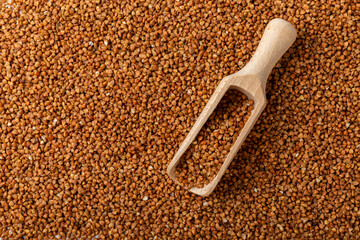 Buckwheat. Buckwheat grain isolated on white background. Healthy food. Porridge. Diet. Organic cereal.
 Cereals background. Banner.