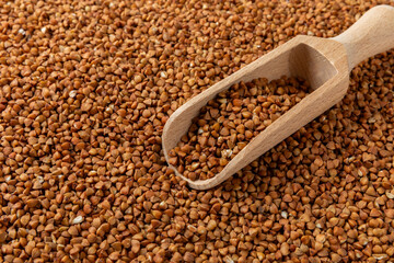Buckwheat. Buckwheat grain isolated on white background. Healthy food. Porridge. Diet. Organic cereal.
 Cereals background. Banner.
