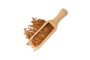 Buckwheat in wooden spoons. Buckwheat grain isolated on white background. Healthy food. Porridge....