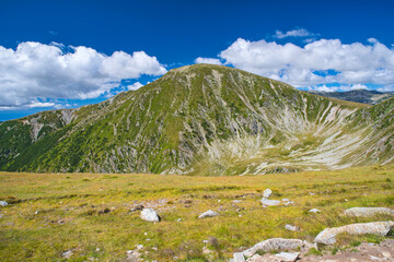 Summer alpine area in Romanian Carpathians - 703418006