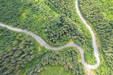 Summer curvy road from above