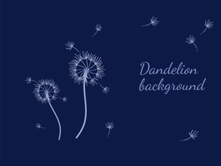 Abstract dandelion background for design. The wind blows dandelion seeds. Template for posters, wallpapers, posters. Vector illustration.