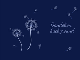 Obraz premium Abstract dandelion background for design. The wind blows dandelion seeds. Template for posters, wallpapers, posters. Vector illustration.