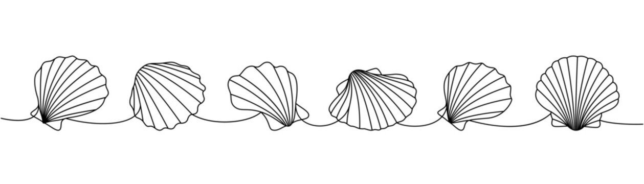 Underwater shells set. Sea shells, mollusks, scallop, pearls. Tropical underwater shells continuous one line illustration.