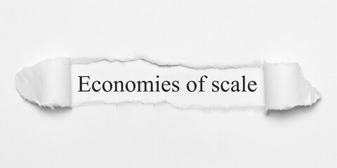 Economies of scale	