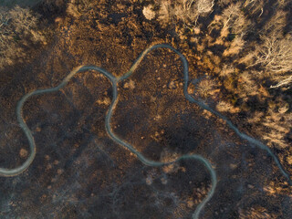 Patterned footpath from an aerial view