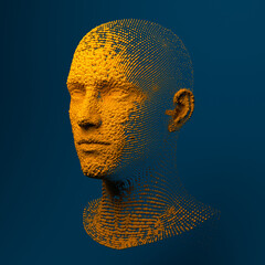 Digital Head
