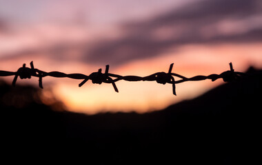 Silhouette of barbed wire on yellow sunset background. barbed wire fence silhouette at orange...