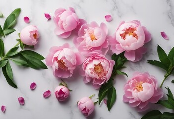 Beautiful pink peony flowers on white stone table with copy space for your text top view and flat lay