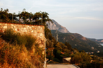 Fototapety na wymiar - Fototapeta24.pl