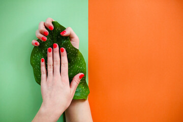 Crop woman with fresh leaf showing manicure