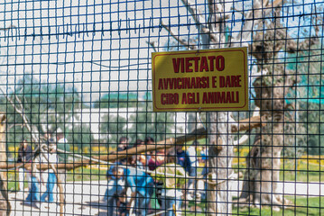 Signage In Italian Zoo With italian Words Than Meam Avoid To Get Close And Give Food To The Animals