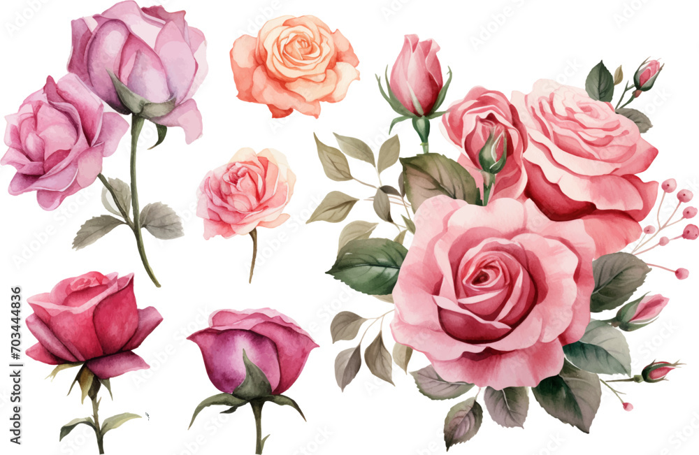 Wall mural hand drawn wtercolor illustration of rose flower