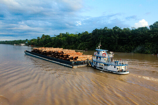 Balsa carregando toras de árvores no rio Amazonas