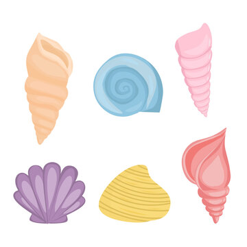 set of seashells,  sea shells collection 