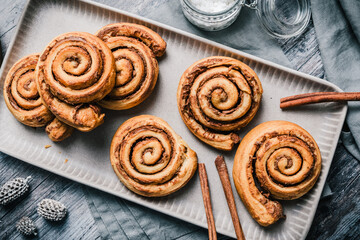 Homemade cinnamon rolls on a gray earthenware tray on gray background