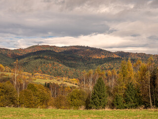 Fototapeta na wymiar view of mountains with forest in autumn