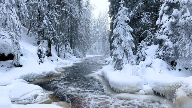 The river flows in the winter forest. The rapid flow of a mountain river. Snow, snowdrifts. Winter landscape. The movement of water in winter. Winter nature.